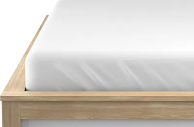 Produktbild von Jersey-Spannbettlaken EXKLUSIV weiß 90 x 200 cm