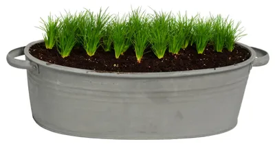 Produktbild von Mega Collections Teekanne/Pflanzgefas Farmer - oval - Zink - dunkelgrau - 25 x D18 X 11 cm