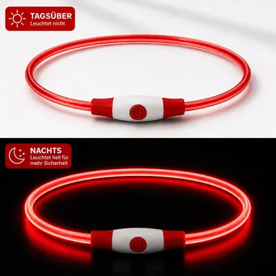 Produktbild von Premium LED Hundehalsband USB aufladbar leuchtend Leuchthalsband verstellbar S–L für Hunde Nacht Sicherheit inkl. Ladekabel (Gr. 35cm - 65cm) - ROT, KI-generiertes Bild