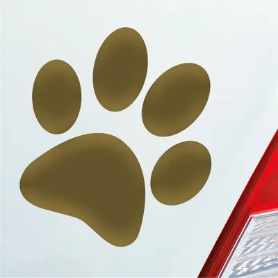 Produktbild von Auto Aufkleber Hundepfote Pfote Hund Fote Tatze 10x11 cm Gold Sticker Heckscheibenaufkleber