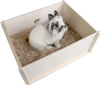 Produktbild von Bunny Buddlebox
