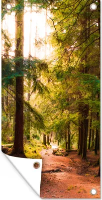 Produktbild von MuchoWow® 80x160 cm Outdoor-Poster Gartendeko Sichtschutz Garten Poster für den Garten  Wald - Weg - Bäume - Grün - Sonne - Natur