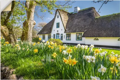 Produktbild von ARTland Wandbild, selbstklebend Reetdachhaus auf Sylt im Frühling Größe: 30x20 cm