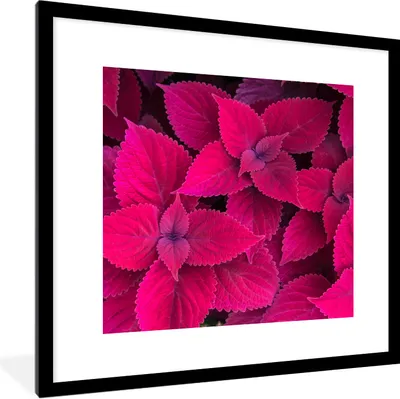 Produktbild von MuchoWow® Gerahmtes Poster Blätter - Abstrakt - Muster 40x40 cm - Poster mit Schwarzem Bilderrahmen Wandposter Rahmen Foto Bilder - Poster - Plakat im Rahmen