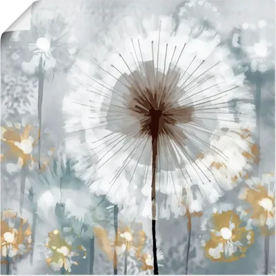 Produktbild von ARTland Poster Abstrakte Pusteblumen Wiese 1 Größe: 70x70 cm