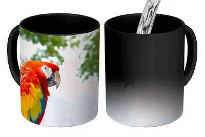 Obrázok produktu pre MuchoWow® Magický pohár Papagáj - Vták - Dúhový - Tropický 350 ml Pohár na zmenu farby Darček Nápad na darček - Foto hrnček
