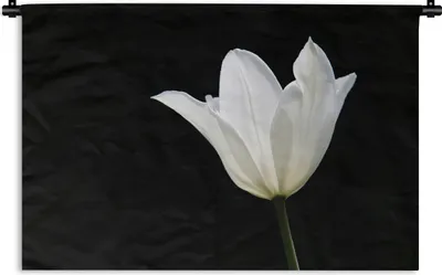 Produktbild von MuchoWow® Wandteppich Wandbehang Weiße Tulpe 90x60 cm Tapisserie Dekoration Wandtuch - Wandskulpturen - Bildteppich