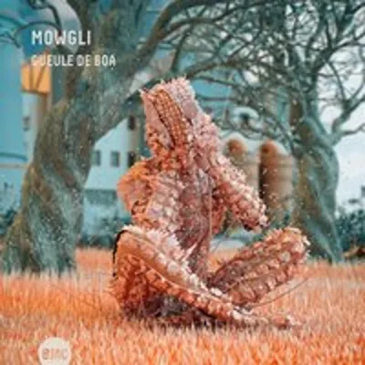 Produktbild von Gueule de Boa