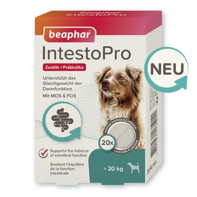 Produktbild von Beaphar IntestoPro Tabs für große Hunde - 20 Stück
