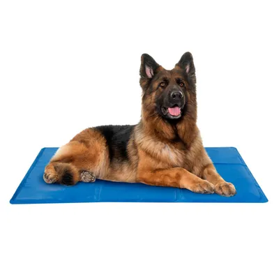 Produktbild von Kühlmatte für Hunde Haustier XL Kühldecke Hundekühlmatte Gelmatte Kühlend 80 x 60 cm Kühlkissen Gelkissen Kühlunterlage Blau