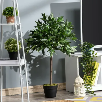 Image de Kunstboom - Laurier artificiel - Plante artificielle - Plantes artificielles - Arbres artificiels - Lot de 2 - Hauteur : 90 cm - Pot en ciment