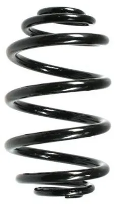 Produktbild von SPIDAN Fahrwerksfeder Hinten für RENAULT CLIO II (BB0/1/2, CB0/1/2) 55073