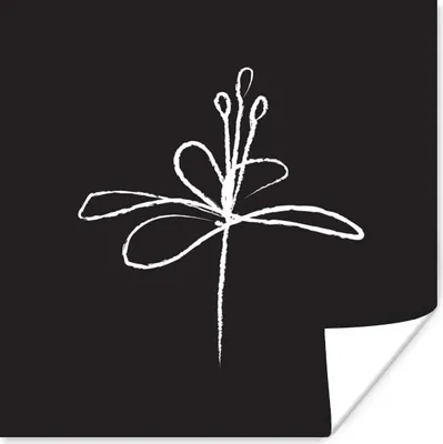 Produktbild von MuchoWow® Poster Strichzeichnung - Blume - Schwarz - Weiß 75x75 cm - Wand Dekoration