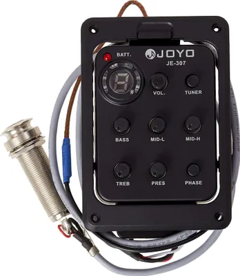 Image de Joyo JE-307