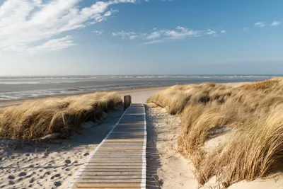 Produktbild von Papermoon VLIES Fototapete, Digitaldruck,  Dünen in Langeoog (519)