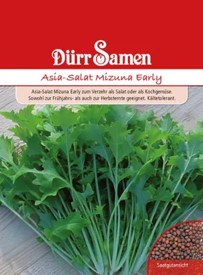 Artikelbild 1 von 'Asiasalat Mizuna Early' aus der Kategorie Asiasalatsamen