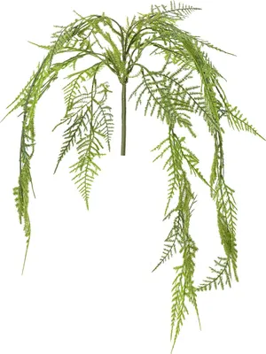 Produktbild von Künstliche Hängepflanze Asparagus für pflegeleichte Raumgestaltung und Dekoration