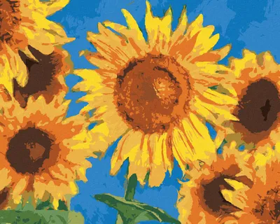 Produktbild von Zuty - Malen nach Zahlen - SONNENBLUMEN NACH VAN GOGH, 40x50 cm, ohne Keilrahmen