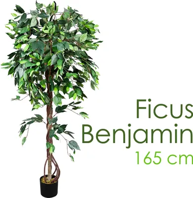 Immagine prodotto di Fico Ficus Benjamin Pianta Albero Artificiale con Legno Naturale 165cm Decovego