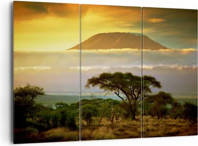 Produktbild von Bild auf Leinwand - Leinwandbild - Safari Tierwelt Berg Kenia - 165x110cm - Wand Bild - Wanddeko - Leinwanddruck - Bilder - Kunstdruck - Wanddekoration - Leinwand bilder - Wandkunst - CE165x110-3170