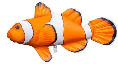 Produktbild von Gaby Ocellaris Clownfisch Mittleres Kissen Orange  Orange One Size