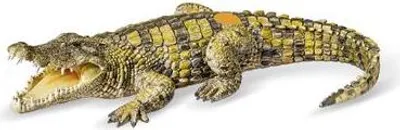 Produktbild von tiptoi® Krokodil