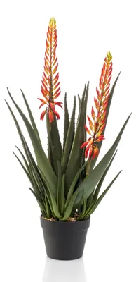 Produktbild von Emerald Künstliche Aloe mit 2 Blumen 80 cm im Topf