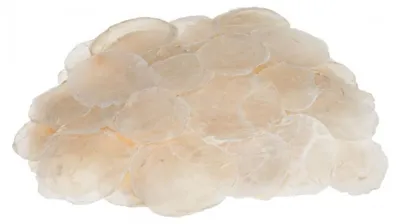 0,25 kg Camar Perlmuttscheiben naturbelassen