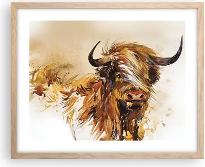 Produktbild von Gerahmtes Poster - Rahmen in heller Eiche - Stier Scotch Aquarell - 50x40 cm - Wand Bild - Wanddeko - Wandbilder - Kunstposter - Wandposter - Bilderrahmen - Bilder - Kunstdruck - P2NAA50x40-4708