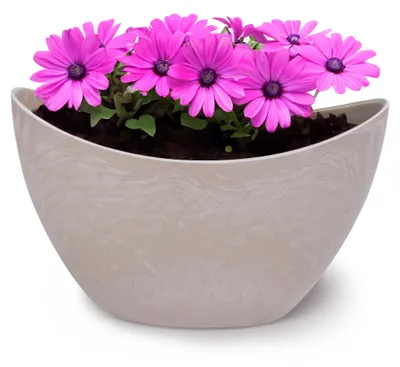 Productafbeelding van Hoge, ovale plantenbak, vintage stijl, zandbeige kleur, 24 x 14 cm, weerbestendig