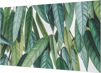Produktbild von Fototapete - Wandbilder für Wohnzimmer - 416x254 - Dekorative Wandfolie - Modernes Design für Wanddekoration - Tapeten für Innenräume - Natürliche Blätter