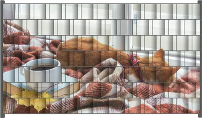 Produktbild von Wallario Zaunsichtschutz mit Motiv Schlafende Katze beim Kaffeekränzchen für Ein- und Doppelstabmatten Zäune in der Größe 250 x 140 cm