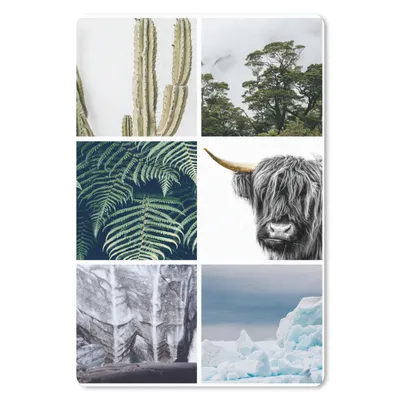 Produktbild von MuchoWow® Mauspad Mousepad Schottischer Highlander - Collage - Kaktus - Pflanzen 18x27 cm - Mousepads - Maus Mat - Pad - Mausunterlage