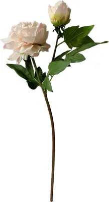 Produktbild von Pfingstrose 23 cm Kunstblume Flora