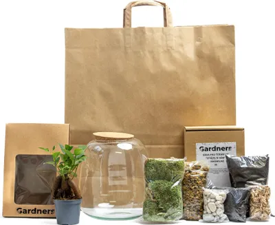 Obrázek produktu pro Gardners Skleněná dóza MOLINIA OSÁZEJ SI SÁM Ficus microcarpa Ginseng, M v dárkovém balení