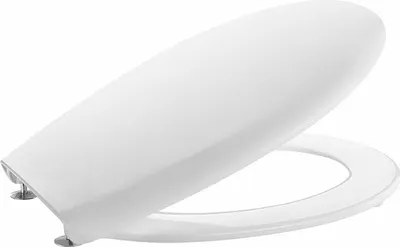 Produktbild von Wc Sitz roca victoria white with steel hinges a801b6000b roca