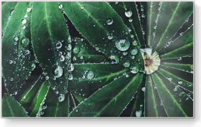 Produktbild von DEQORI Frühstücksbrett Glas 23x14 cm 'Wasserperlenverzierung' Schneidebrett Platte