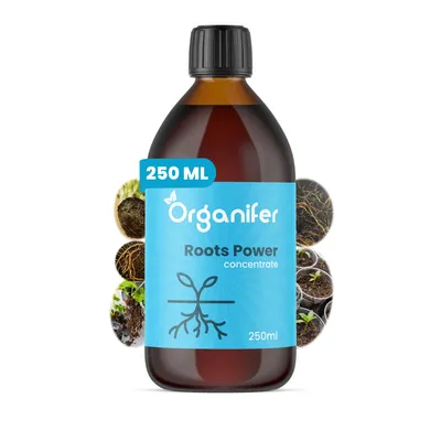 Produktbild von Wurzelstimulator - Roots-Power-Konzentrat - 250 ml- Organifer