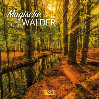 Produktbild von Wandkalender 2026 Magische Wälder im Format: 30 x 30 cm