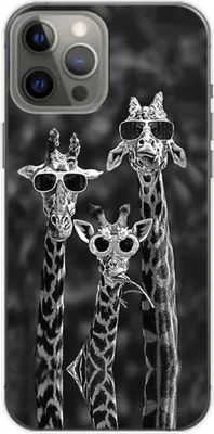 Produktbild von König Design Hülle kompatibel mit Apple iPhone 14 Plus Kunststoff Soft Handyhülle - Handy Case 3 Giraffen