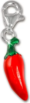 Image de SilberDream Charm bracelet bijoux Pendentif Chili rouge 925 Argent véritable FC3021
