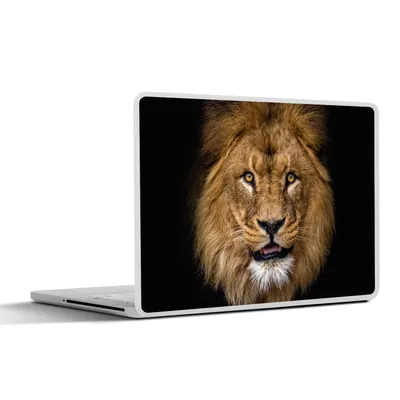 Produktbild von MuchoWow® Laptop Aufkleber Sticker Cover Löwe - Porträt - Schwarz - Tiere 31x22.5 cm - Laptop-Deko