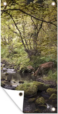 Produktbild von MuchoWow® 80x160 cm Outdoor-Poster Gartendeko Sichtschutz Garten Poster für den Garten  Hirsch - Baum - Wald
