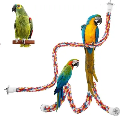 Produktbild von 2 Stück Papagei Kletterseil Vogelspielzeug für Papageien Bunte Baumwollseil Schaukel Vogel Papagei Spielzeug Parrot Climbing Rope Sitzstangen für Vögel für Vögel Papageien Graupapageien Sittiche
