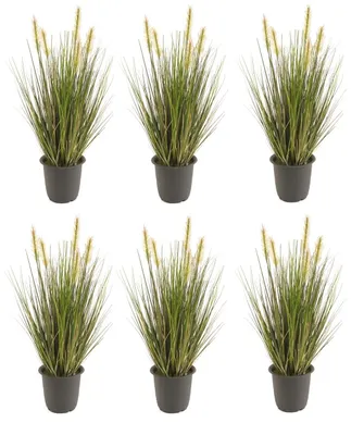 Produktbild von 6er Set künstliche Gräser im Topf H. 45cm grün gelb Emerald Zimmerpflanzen