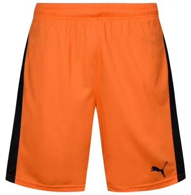 Produktbild von 164|PUMA Pitch Sport Short mit Innenslip 702075-08