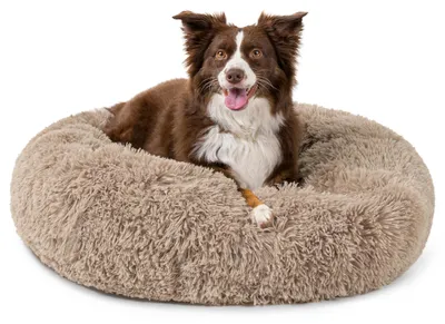 Image de Lit pour chien PetAmi, modèle rond "donut", idéal pour les chiots de taille moyenne, offrant un confort apaisant