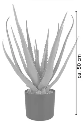 Produktbild von Decovego Künstliche Aloe Vera Zimmerpflanze, Kunstpflanze aus Kunststoff, 50 cm für Innenbereiche, pflegeleicht und dekorativ