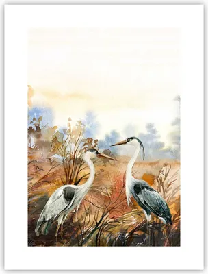 Produktbild von Poster - Poster ohne Rahmen - Kraniche Vögel Herbst - 30x40 cm - Wand Bild - Wanddeko - Wandbilder - Kunstposter - Wandposter - Bilder - Kunstdruck - Wanddekoration - Wandbild - P2XPA30x40-5077