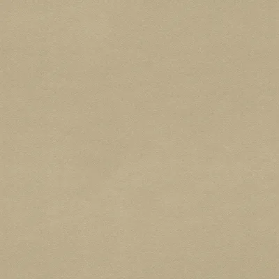 Produktbild von Rasch Salsa | 806892 | Vliestapete Einfarbig | 0.53 m x 10.05 m | Grau
